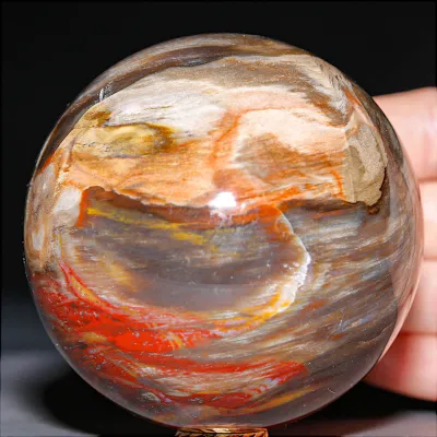Sfera in Legno Fossile Policromo del Madagascar.