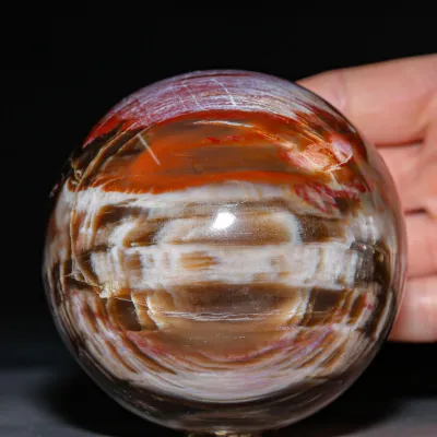 Sfera in Legno Fossile Policromo del Madagascar.