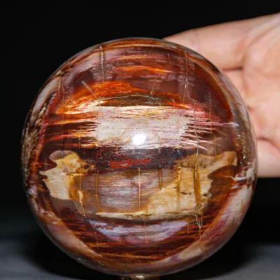 Sfera in Legno Fossile Policromo del Madagascar.