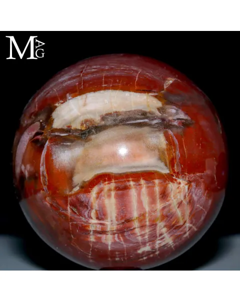 Sfera in Legno Fossile – Madagascar