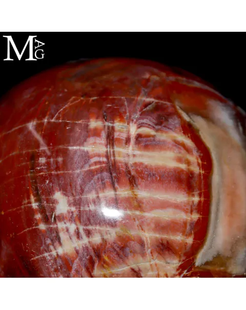 Sfera in Legno Fossile – Madagascar