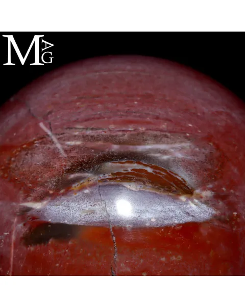 Sfera in Legno Fossile – Madagascar