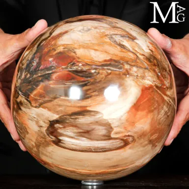 Grande Sfera in Legno Fossile – Testimone Silenz...