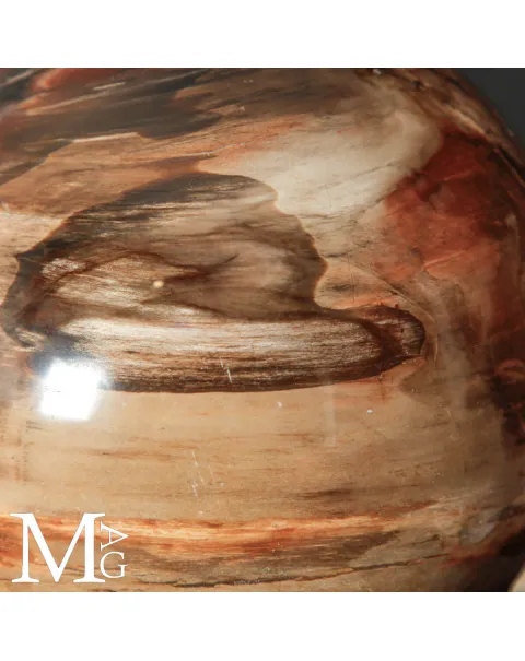 Grande Sfera in Legno Fossile – Testimone Silenzioso dell’Era Preistorica