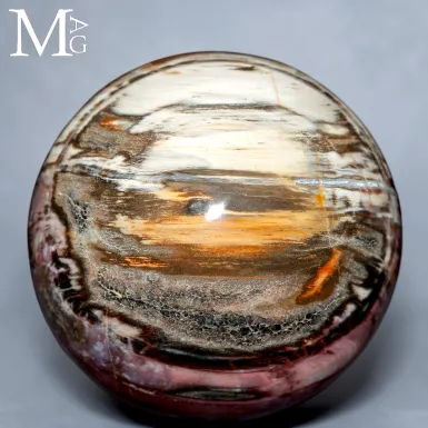 Sfera in Legno Fossile del Madagascar - Triassico