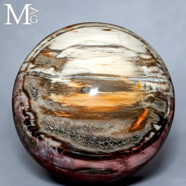 Sfera in Legno Fossile del Madagascar - Triassico