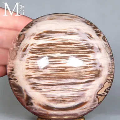Triassic Petrified Wood Sphere from Madagascar - F...