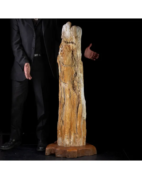 Un Interessante tronco di legno fossile.