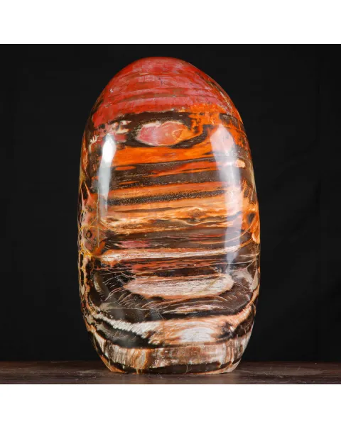 Legno Fossile del Madagascar – Testimonianza di un'era perduta.