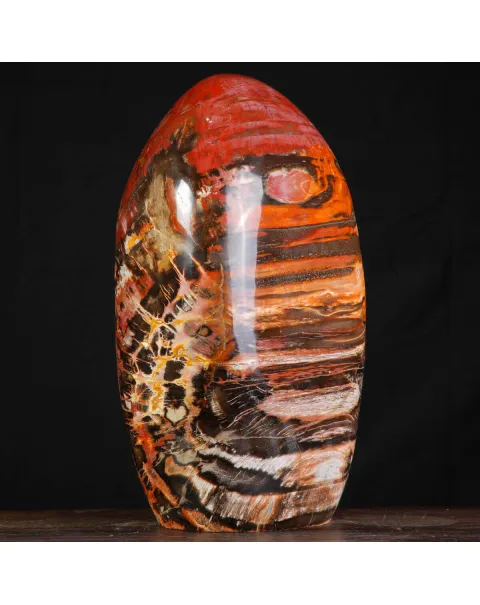 Legno Fossile del Madagascar – Testimonianza di un'era perduta.