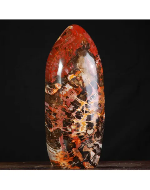 Legno Fossile del Madagascar – Testimonianza di un'era perduta.
