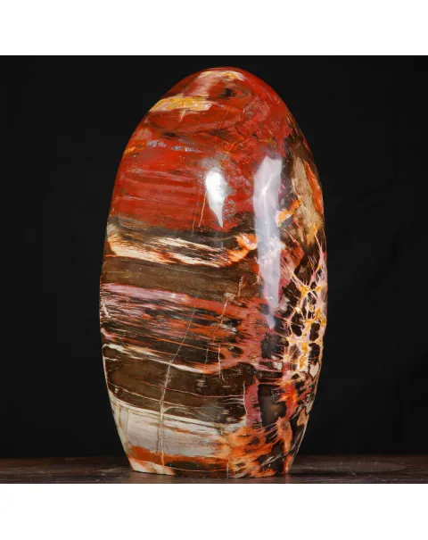 Legno Fossile del Madagascar – Testimonianza di un'era perduta.