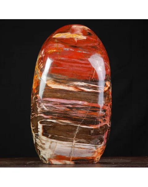 Legno Fossile del Madagascar – Testimonianza di un'era perduta.