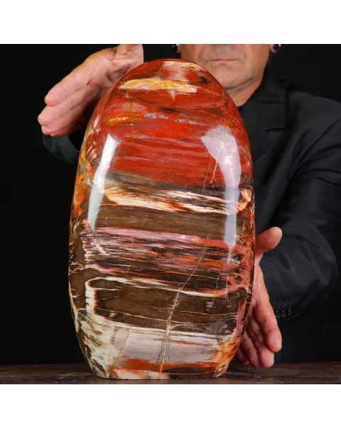 Legno Fossile del Madagascar – Testimonianza di un'era perduta.