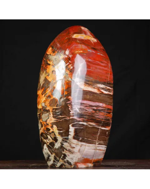 Legno Fossile del Madagascar – Testimonianza di un'era perduta.