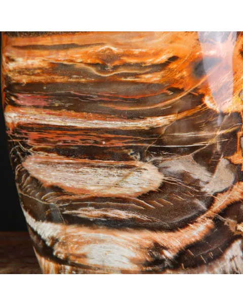 Legno Fossile del Madagascar – Testimonianza di un'era perduta.