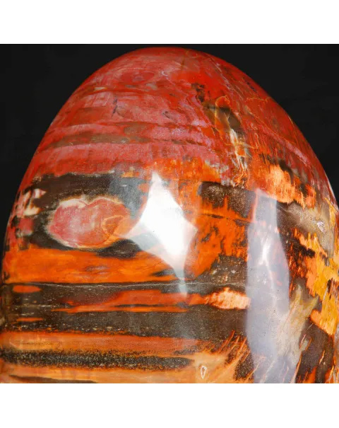 Legno Fossile del Madagascar – Testimonianza di un'era perduta.
