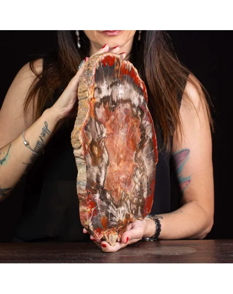 Un’Opera d’Arte Naturale: Legno Fossile.