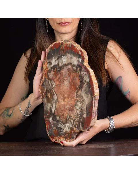 Un’Opera d’Arte Naturale: Legno Fossile.