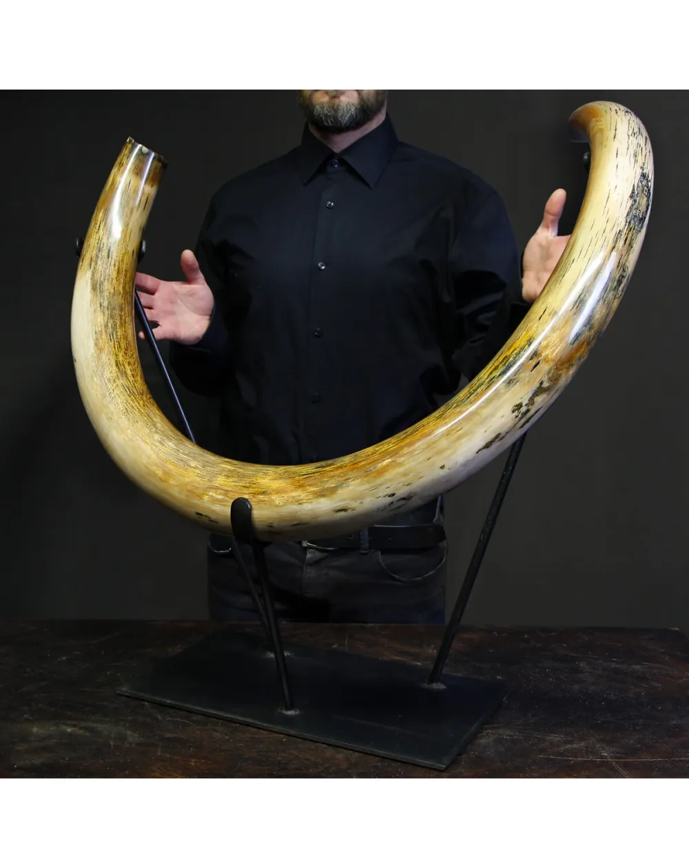 Zanna Avorio Mammut