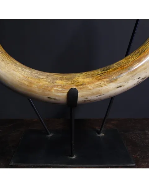 Zanna Avorio Mammut