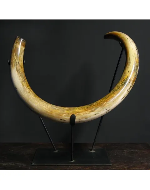 Zanna Avorio Mammut