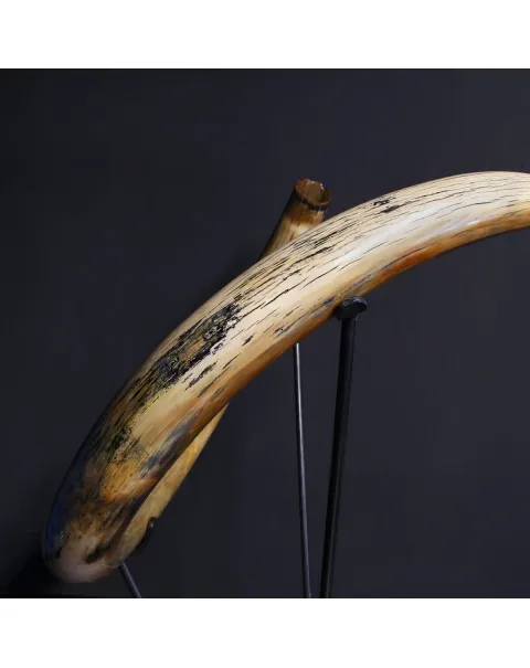 Zanna Avorio Mammut