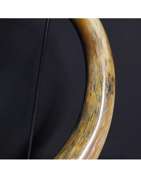 Zanna Avorio Mammut