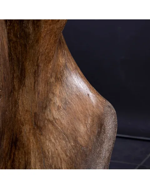 Omero di Mammut