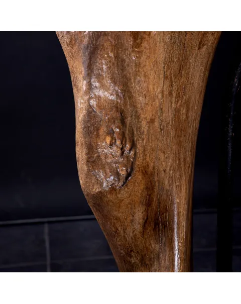 Omero di Mammut