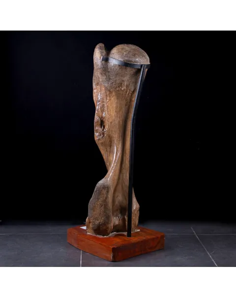 Omero di Mammut
