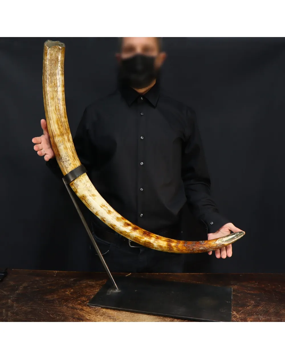 Zanna Avorio Mammut