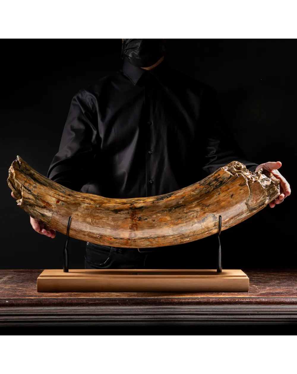 Zanna Avorio Mammut