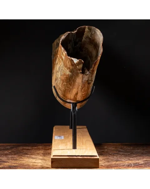 Zanna Avorio Mammut