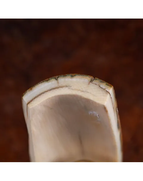 Zanna di Mammut