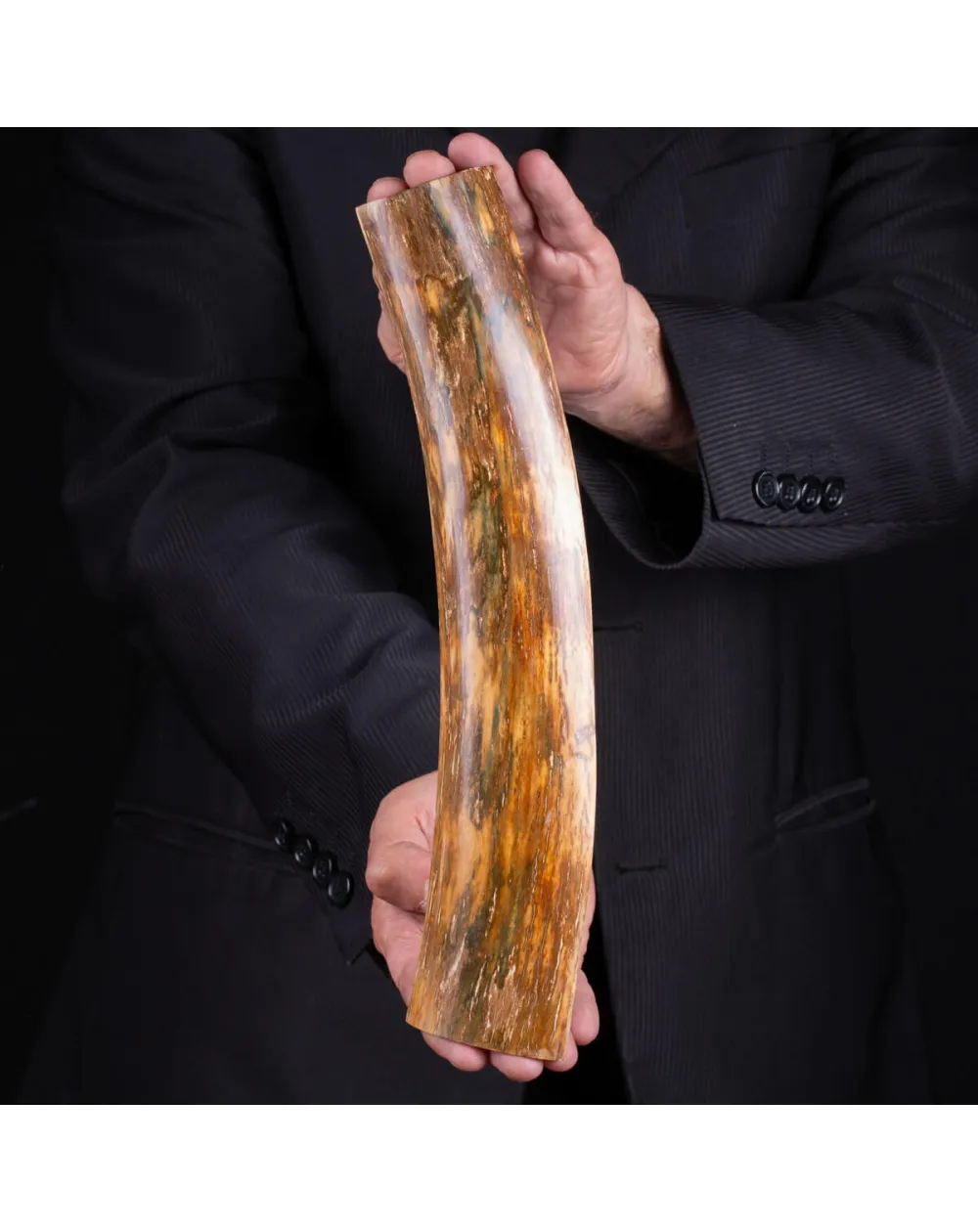 Frammento di Zanna di Avorio di Mammut