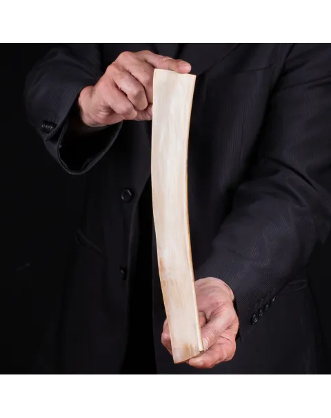 Frammento di Zanna di Avorio di Mammut