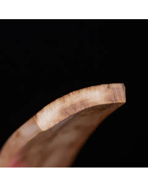 Sezione di corteccia di zanna di Mammoth Lanoso Siberiano.