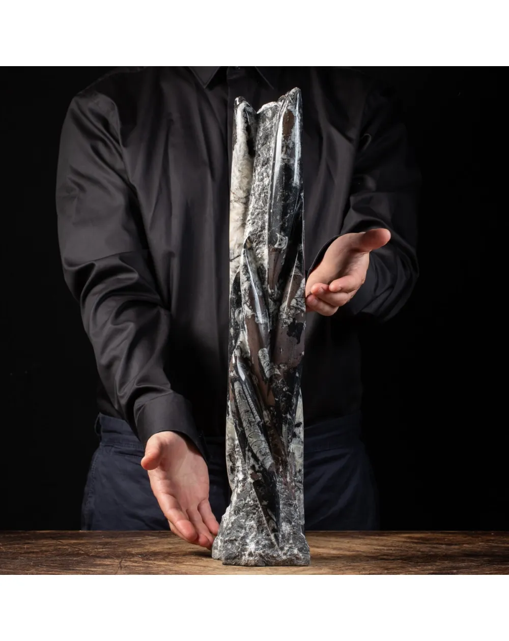 Torre con Orthoceras Fossili
