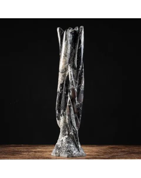 Torre con Orthoceras Fossili