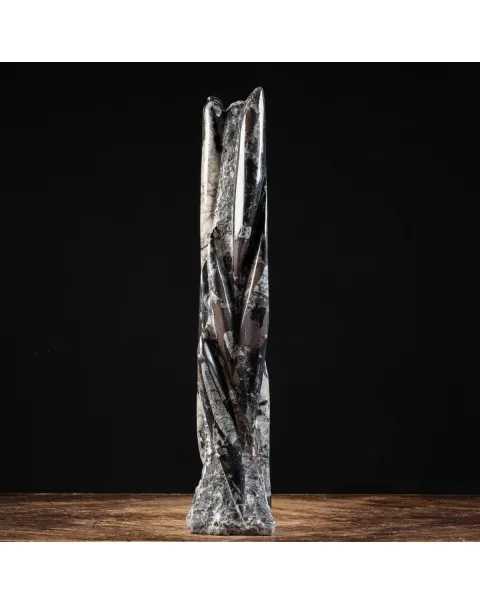 Torre con Orthoceras Fossili