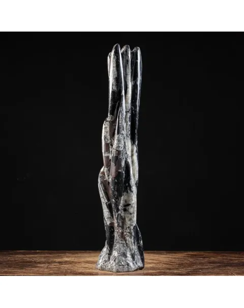 Torre con Orthoceras Fossili