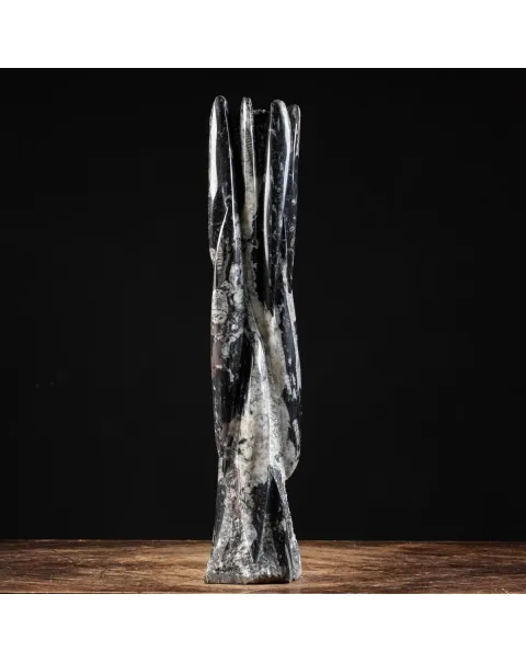 Torre con Orthoceras Fossili