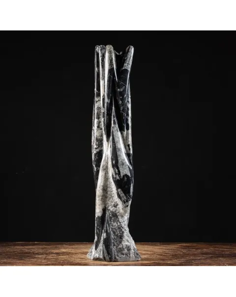 Torre con Orthoceras Fossili
