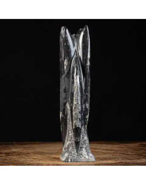 Orthoceras a Forma di Torre: L'Arte della Natura.