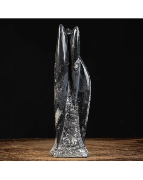Orthoceras a Forma di Torre: L'Arte della Natura.