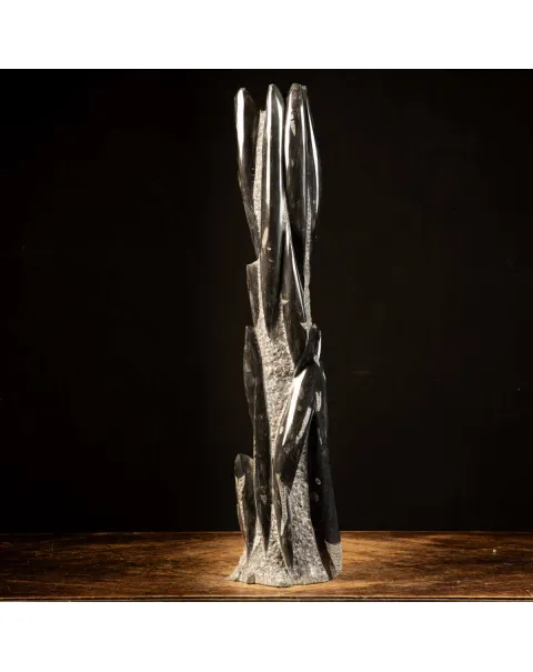 Orthoceras Fossili: Tesori Paleontologici per il Design d'Interni.