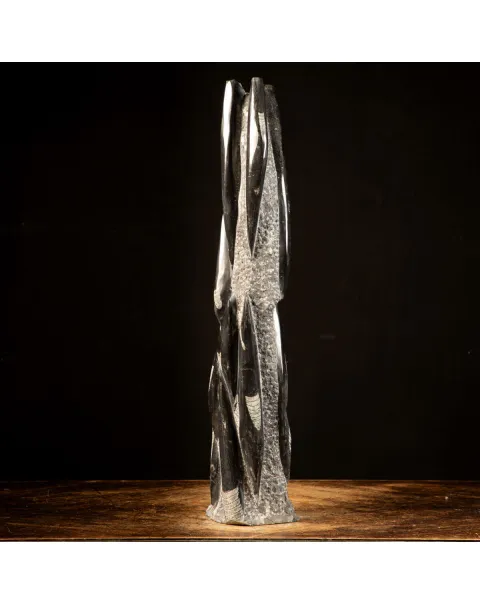 Orthoceras Fossili: Tesori Paleontologici per il Design d'Interni.