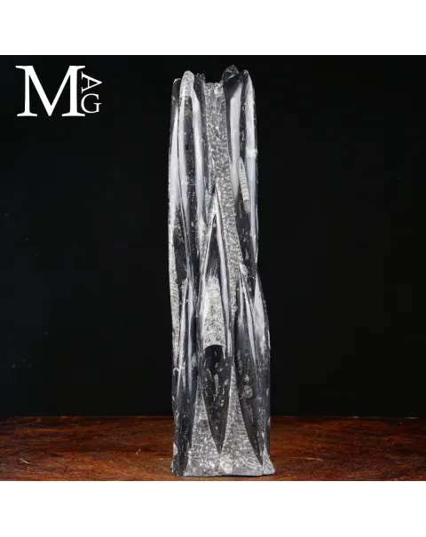 Torre Fossile in Orthoceras – Verticalità Primordiale