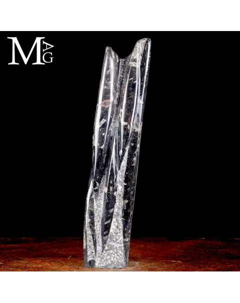 Colonna Fossile in Orthoceras – Il Viaggio del Tempo
